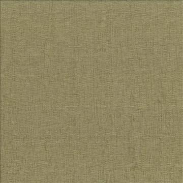 Kasmir Fabric Pinnacle Parsley 5046 100% Polyester INDIA 102,000 Wyzenbeek Double Rubs H: N/A, V: N/A 54 - 55 - My Fabric Connection - Kasmir