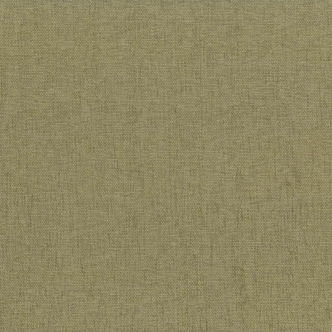 Kasmir Fabric Pinnacle Parsley 1353 100% Polyester INDIA 102,000 Wyzenbeek Double Rubs Horizontal: 0 Inches and Vertical: 0 Inches 54 - 55 - My Fabric Connection -