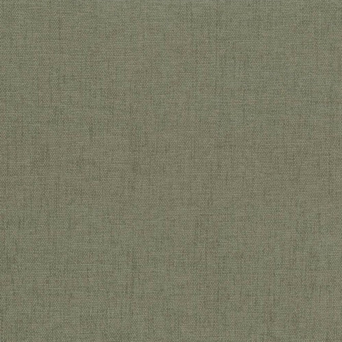 Kasmir Fabric Pinnacle Sage 1353 100% Polyester
 INDIA </p><p>Repeat: Horizontal: N/A and Vertical: N/A 54 - 55 - My Fabric Connection -