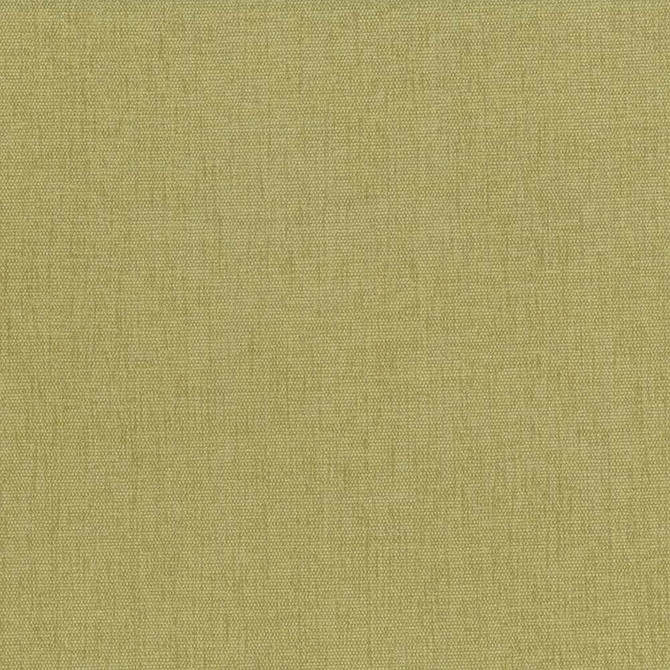 Kasmir Fabric Pinnacle Thyme See sample 100% Polyester
 INDIA 102,000 Wyzenbeek Double Rubs </p><p>Repeat: Horizontal: N/A and Vertical: N/A 54 - My Fabric Connection -