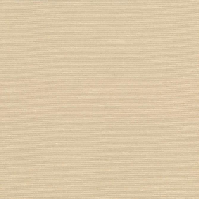 Kasmir Fabric Pirouette Straw 5054 100% Polyester INDIA 45,000 Wyzenbeek Double Rubs Horizontal: 0 Inches and Vertical: 0 Inches 54 - 55 - My Fabric Connection -