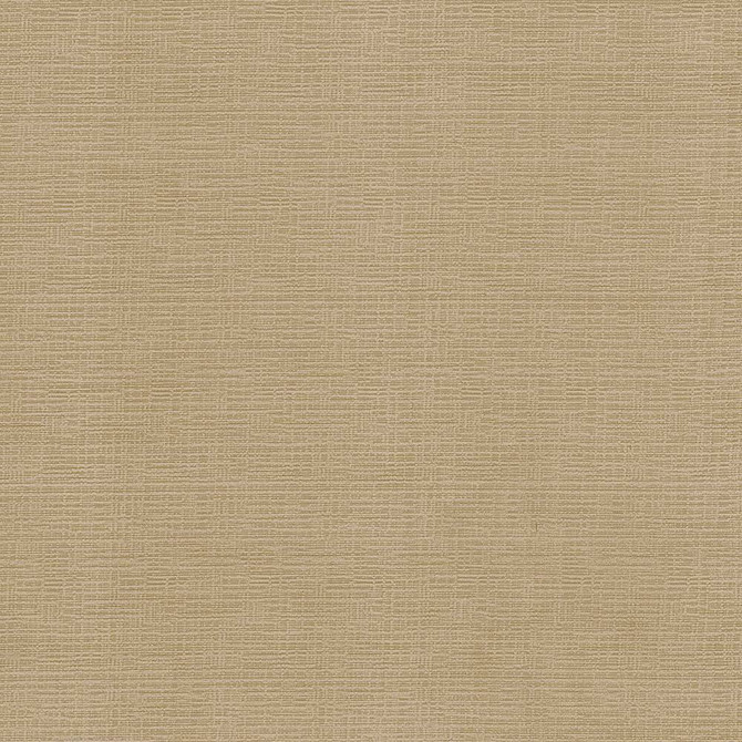Kasmir Fabric Regis Carmel 5093 CHINA 125,000 Wyzenbeek Double Rubs H: N/A, V:N/A 55 - My Fabric Connection - Kasmir
