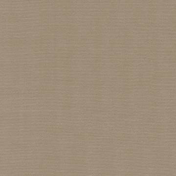 Kasmir Fabric Rivage Latte 5092 / 48 54% Polyester
46% Cotton 10,000 Wyzenbeek Double Rubs </p><p>Repeat: Horizontal: N/A and Vertical: N/A 54 - 55 Inches - My Fabric Connection -