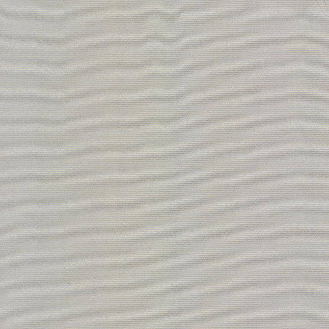 Kasmir Fabric Rivage Silver 5100 TAIWAN 10,000 Wyzenbeek Double Rubs H: N/A, V:N/A 54 - 55 - My Fabric Connection - Kasmir