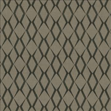 Kasmir Fabric Ryland Trellis Thunder 1438 100% Polyester Embroidery Contents 100% Rayon INDIA 30,000 Wyzenbeek Double Rubs H: 6 4/8 inches, V: 9 inches 51 - 55 - My Fabric Connection - Kasmir