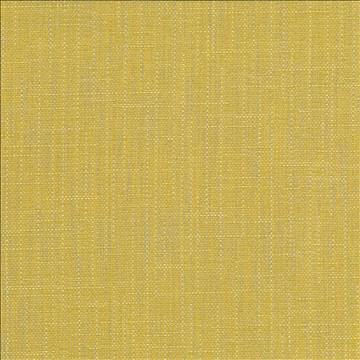 Kasmir Fabric San Carlos Citrine 5050 100% Polyester INDIA 25,000 Wyzenbeek Double Rubs H: N/A, V: N/A 54 - 55 - My Fabric Connection - Kasmir