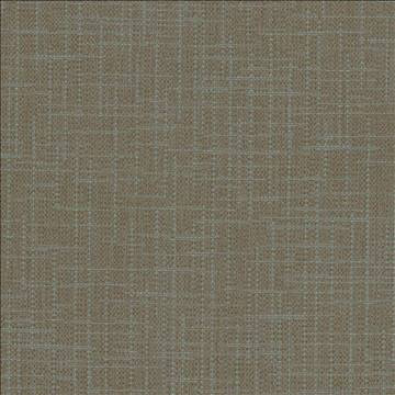 Kasmir Fabric San Carlos Graphite 5050 100% Polyester INDIA 25,000 Wyzenbeek Double Rubs H: N/A, V: N/A 54 - 55 - My Fabric Connection - Kasmir