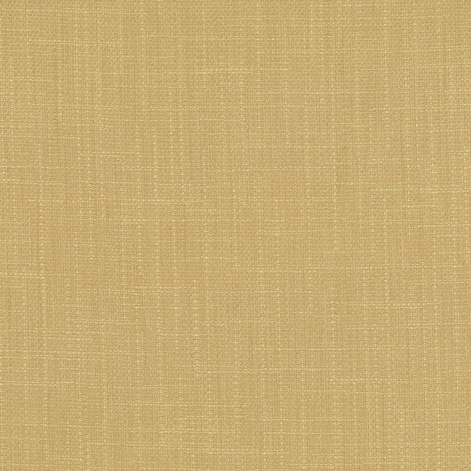 Kasmir Fabric San Carlos Hemp 5050 100% Polyester
 INDIA </p><p>Repeat: Horizontal: N/A and Vertical: N/A 54 - 55 - My Fabric Connection -
