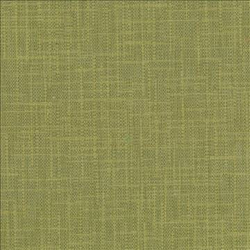 Kasmir Fabric San Carlos Herb 5050 100% Polyester INDIA 25,000 Wyzenbeek Double Rubs H: N/A, V: N/A 54 - 55 - My Fabric Connection - Kasmir