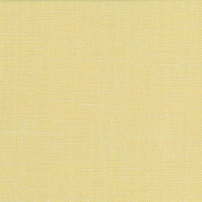 Kasmir Fabric San Carlos Wheat 5050 100% Polyester INDIA 25,000 Wyzenbeek Double Rubs Horizontal: 0 Inches and Vertical: 0 Inches 54 - 55 - My Fabric Connection -