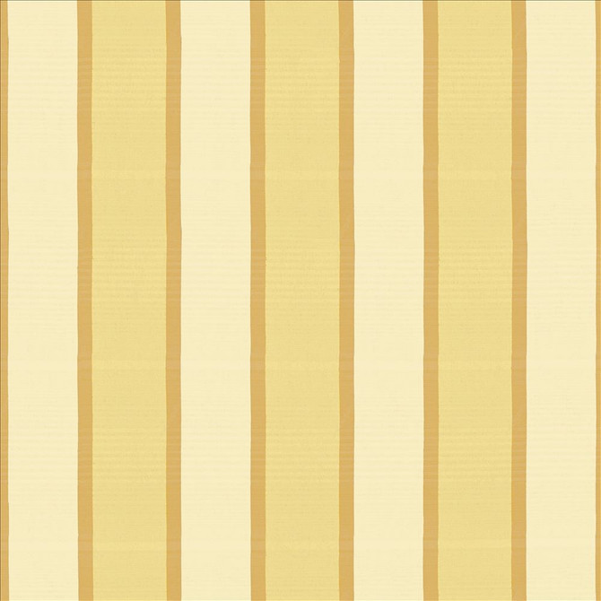 Kasmir Fabric Sandino Stripe Champagne 5076 100% Polyester
 TURKEY </p><p>Repeat: Horizontal: 9 4/8 inches and Vertical: N/A 117 - My Fabric Connection -