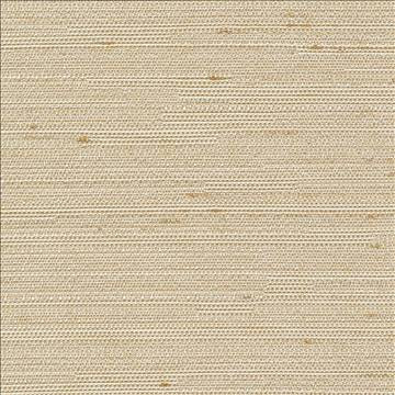 Kasmir Fabric Santorini Bone 5013 100% Polyester INDIA 30,000 Wyzenbeek Double Rubs H: N/A, V: N/A 54 - 55 - My Fabric Connection - Kasmir