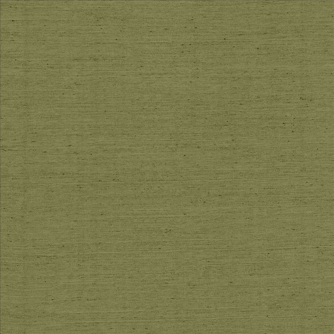 Kasmir Fabric Santorini Leaf 5013 100% Polyester
 INDIA </p><p>Repeat: Horizontal: N/A and Vertical: N/A 54 - My Fabric Connection -