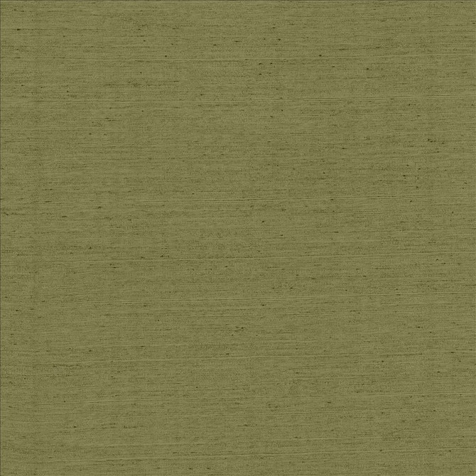Kasmir Fabric Santorini Leaf 5013 100% Polyester
 INDIA 20,000 Wyzenbeek Double Rubs </p><p>Repeat: Horizontal: N/A and Vertical: N/A 54 - My Fabric Connection -
