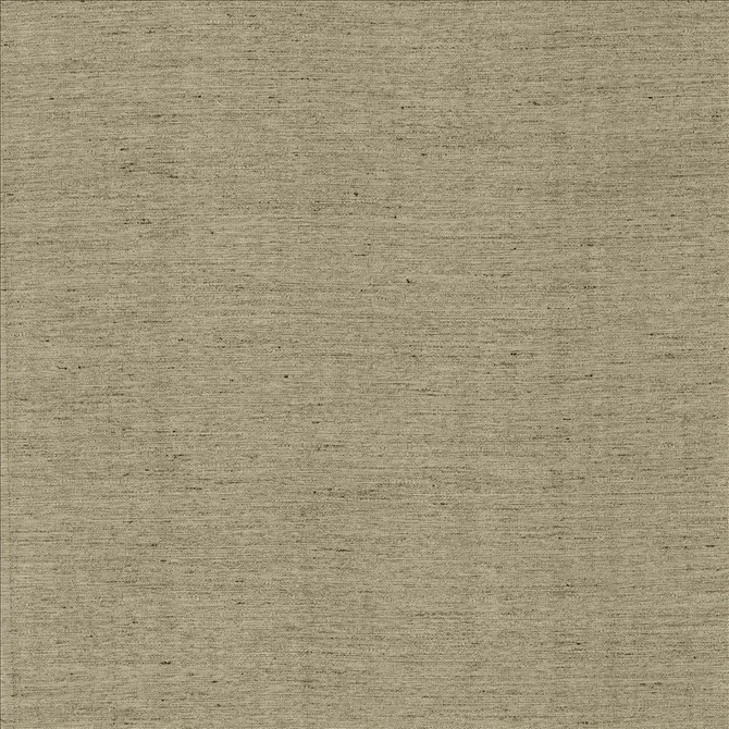 Kasmir Fabric Santorini Viridian Grey 5013 100% Polyester
 INDIA </p><p>Repeat: Horizontal: N/A and Vertical: N/A 54 - My Fabric Connection -