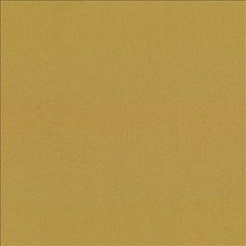 Kasmir Fabric Seductive Amber 5052 100% Polyester INDIA 6,000 Wyzenbeek Double Rubs H: N/A, V: N/A 53 - My Fabric Connection - Kasmir