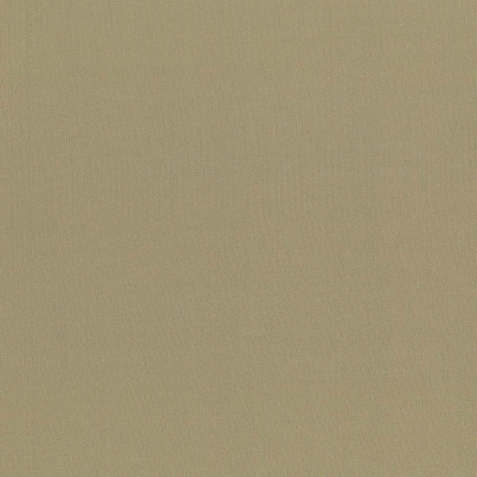 Kasmir Fabric Seductive Antique See sample 100% Polyester
 INDIA 6,000 Wyzenbeek Double Rubs </p><p>Repeat: Horizontal: N/A and Vertical: N/A 53 - My Fabric Connection -