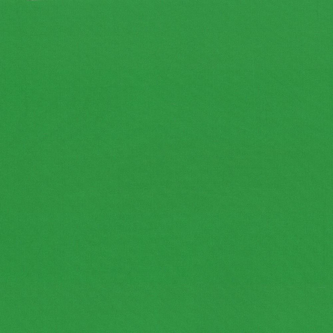 Kasmir Fabric Seductive Bottle 5052 100% Polyester
 INDIA </p><p>Repeat: Horizontal: N/A and Vertical: N/A 53 - My Fabric Connection -