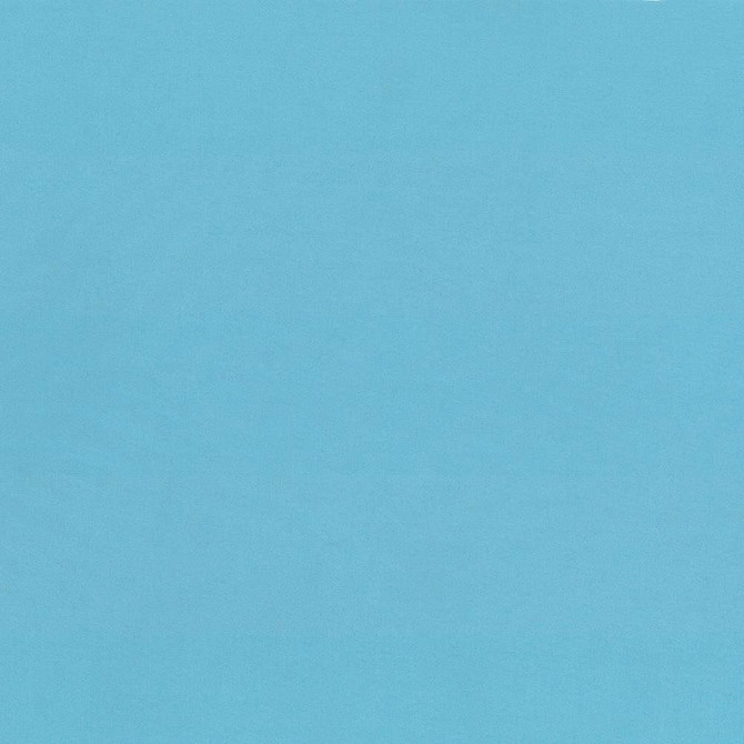 Kasmir Fabric Seductive Capri See sample 100% Polyester
 INDIA 6,000 Wyzenbeek Double Rubs </p><p>Repeat: Horizontal: N/A and Vertical: N/A 53 - My Fabric Connection -