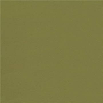 Kasmir Fabric Seductive Cedar 5052 100% Polyester INDIA 6,000 Wyzenbeek Double Rubs H: N/A, V: N/A 53 - My Fabric Connection - Kasmir