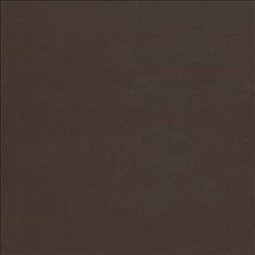 Kasmir Fabric Seductive Chocolate 5052 100% Polyester INDIA 6,000 Wyzenbeek Double Rubs H: N/A, V: N/A 53 - My Fabric Connection - Kasmir