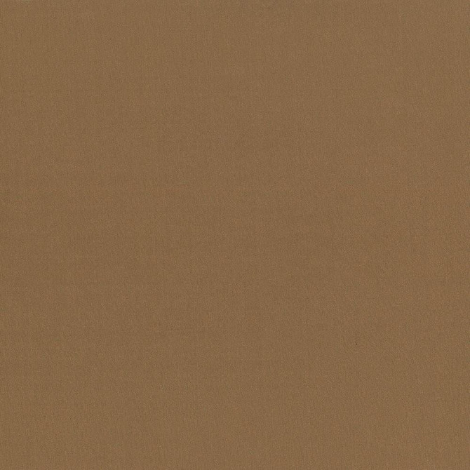 Kasmir Fabric Seductive Hazelnut 5052 100% Polyester
 INDIA 6,000 Wyzenbeek Double Rubs </p><p>Repeat: Horizontal: N/A and Vertical: N/A 53 - My Fabric Connection -