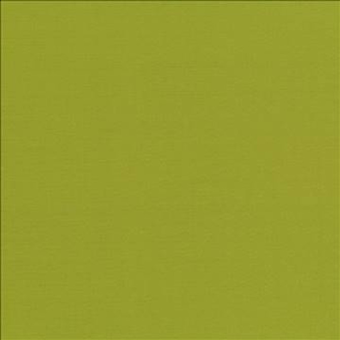 Kasmir Fabric Seductive Kiwi 5052 100% Polyester INDIA 6,000 Wyzenbeek Double Rubs H: N/A, V: N/A 53 - My Fabric Connection - Kasmir