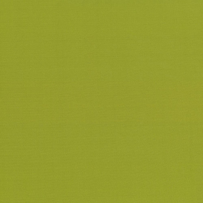 Kasmir Fabric Seductive Kiwi 5052 100% Polyester
 INDIA </p><p>Repeat: Horizontal: N/A and Vertical: N/A 53 - My Fabric Connection -