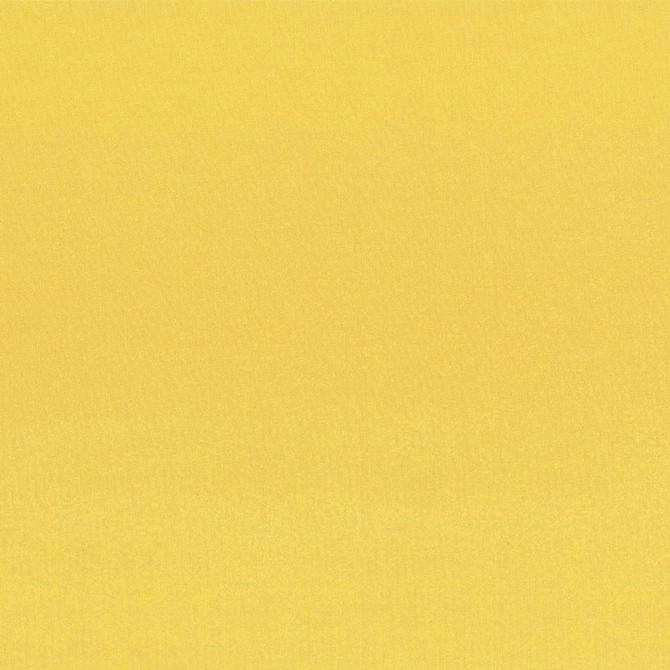 Kasmir Fabric Seductive Mustard 5052 INDIA 6,000 Wyzenbeek Double Rubs H: N/A, V:N/A 53 - My Fabric Connection - Kasmir