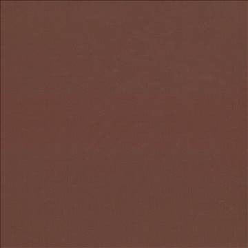 Kasmir Fabric Seductive Sienna 5052 100% Polyester INDIA 6,000 Wyzenbeek Double Rubs H: N/A, V: N/A 53 - My Fabric Connection - Kasmir