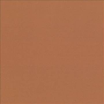 Kasmir Fabric Seductive Spice 5052 100% Polyester INDIA 6,000 Wyzenbeek Double Rubs H: N/A, V: N/A 53 - My Fabric Connection - Kasmir