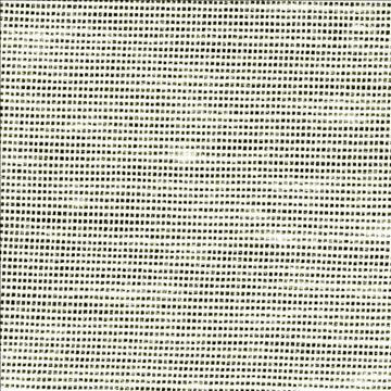 Kasmir Fabric Sh365 Bone 1283 100% Polyester USA - H: N/A, V: N/A 118 - My Fabric Connection - Kasmir