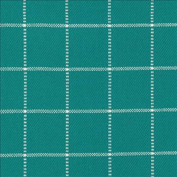 Kasmir Fabric Skylar Check Caribe 5073 100% Cotton INDIA 9,000 Wyzenbeek Double Rubs H: 2 2/8 inches, V: 2 2/8 inches 54 - My Fabric Connection - Kasmir