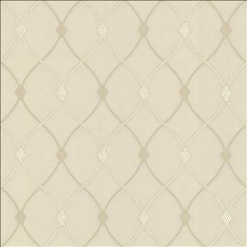 Kasmir Fabric Slipper Trellis Bone 5110 100% Polyester INDIA 30,000 Wyzenbeek Double Rubs H: 3 1/8 inches, V: 5 1/8 inches 56 - 57 - My Fabric Connection - Kasmir