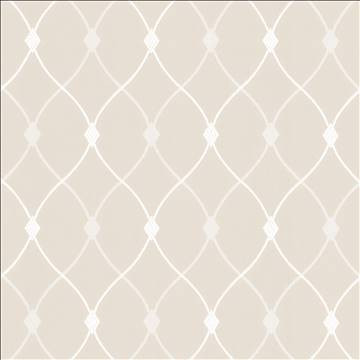 Kasmir Fabric Slipper Trellis Ivory 5110 100% Polyester INDIA 30,000 Wyzenbeek Double Rubs H: 3 1/8 inches, V: 5 1/8 inches 56 - 57 - My Fabric Connection - Kasmir