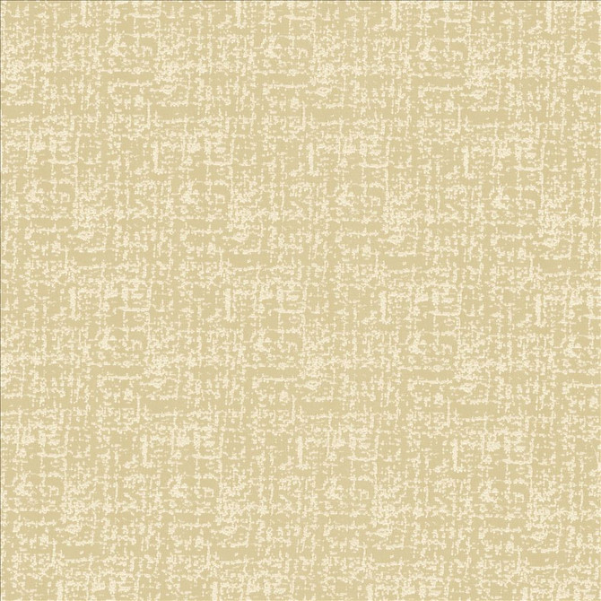 Kasmir Fabric Spackle Sand Dollar 5110 100% Polyester
 INDIA 20,000 Wyzenbeek Double Rubs Horizontal: N/A and Vertical: N/A 54 - My Fabric Connection -