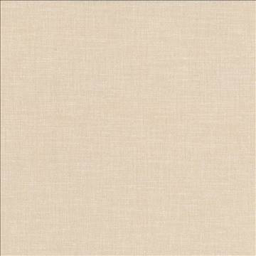 Kasmir Fabric Subtle Chic Chino 5040 100% Polyester INDIA 50,000 Wyzenbeek Double Rubs H: N/A, V: N/A 55 - 57 - My Fabric Connection - Kasmir