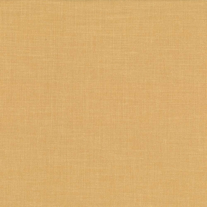 Kasmir Fabric Subtle Chic Honey 5040 100% Polyester
 INDIA 50,000 Wyzenbeek Double Rubs Horizontal: N/A and Vertical: N/A 54 - My Fabric Connection -