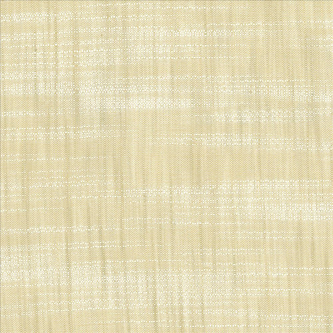 Kasmir Fabric Tao Texture Oyster 5139 100% Polyester
 INDIA </p><p>Repeat: Horizontal: N/A and Vertical: N/A 54 - My Fabric Connection -