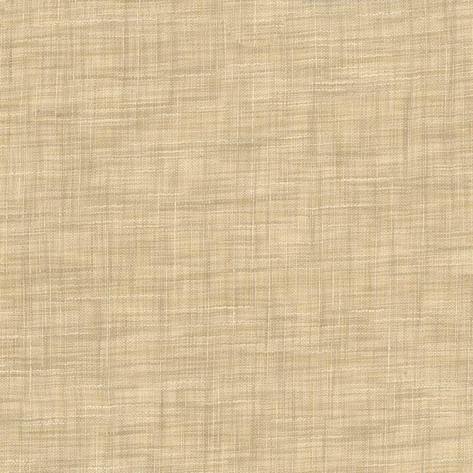Kasmir Fabric Tao Texture Parchment 5061 INDIA Not Tested H: N/A, V:N/A 54 - My Fabric Connection - Kasmir