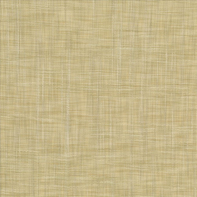 Kasmir Fabric Tao Texture Tea Stain 5061 100% Polyester
 INDIA Not Tested Horizontal: N/A and Vertical: N/A 54 - My Fabric Connection -