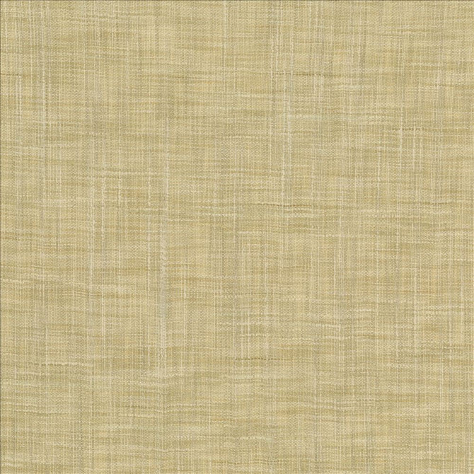 Kasmir Fabric Tao Texture Tea Stain 5061 100% Polyester
 INDIA </p><p>Repeat: Horizontal: N/A and Vertical: N/A 54 - My Fabric Connection -