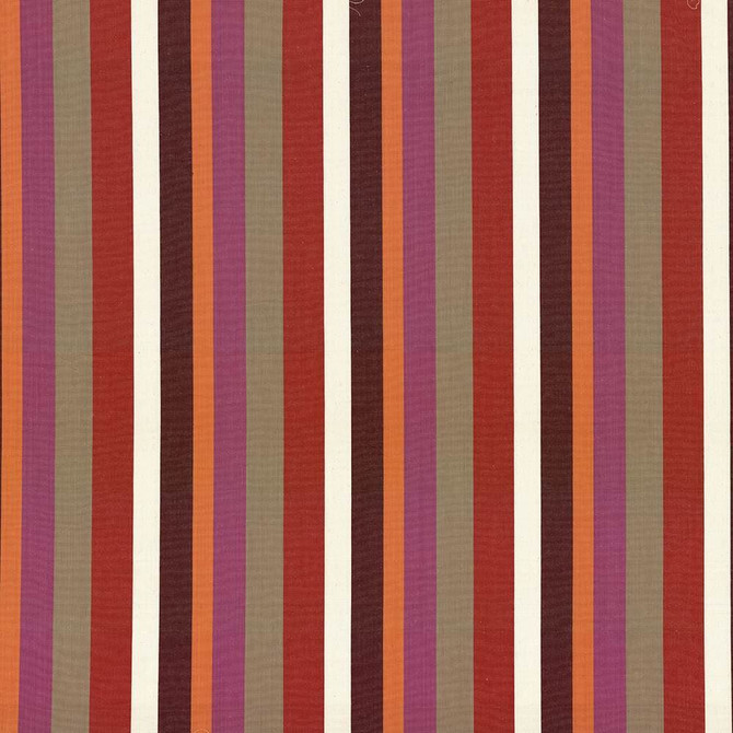 Kasmir Fabric Vindu Stripe Anemone 5064 100% Cotton INDIA 15,000 Wyzenbeek Double Rubs Horizontal: 9 inches and Vertical: 0 Inches 55 - 56 - My Fabric Connection -