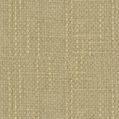 Kravet Couture Fabric Conceptual Chardonnay