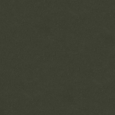 Kravet Couture Fabric Nepheline Mushroom