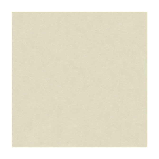 Kravet Design Fabric Zayn Greige CANDICE OLSON COLLECTION POLYESTER - 100% India HEAVY Horizontal: and Vertical: 54 - My Fabric Connection -