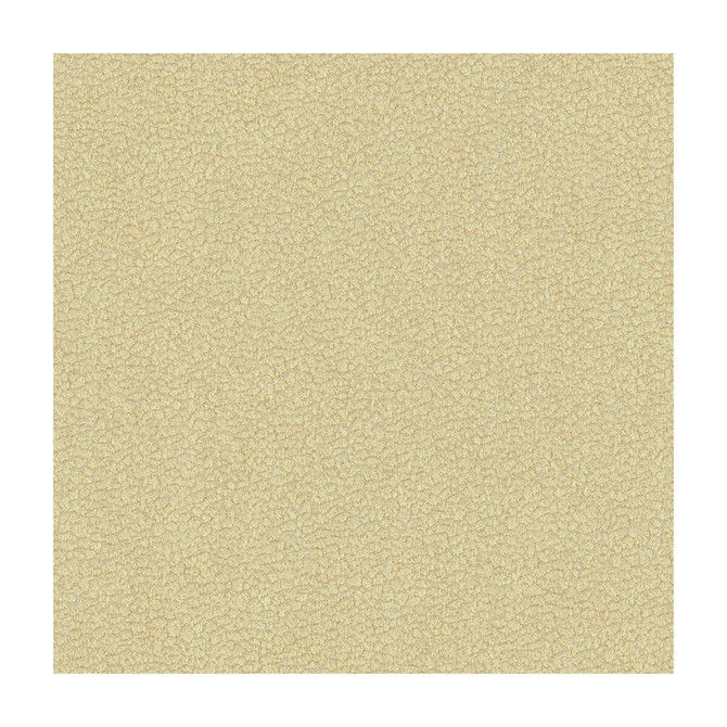 Kravet Design Fabric Jatoba Oyster CANDICE OLSON COLLECTION POLYESTER - 100% India HEAVY Horizontal: 4.5 and Vertical: 2.5 54 - My Fabric Connection -