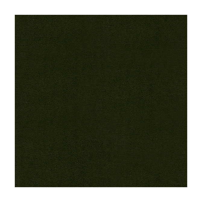 Kravet Design Fabric 29431-303 - COTTON - 74%;POLYESTER - 26% United States HEAVY Horizontal: 0 and Vertical: 0 54 - My Fabric Connection -