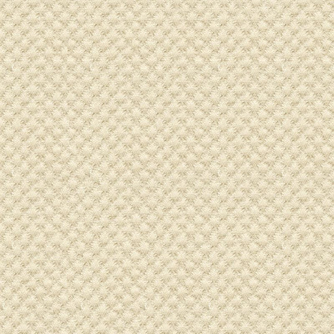 Kravet Design Fabric 25807.1116 Sunbrella Solution Dyed Acrylic 100% USA Heavy Horizontal: see sample and Vertical: see sample 50 inches - My Fabric Connection -