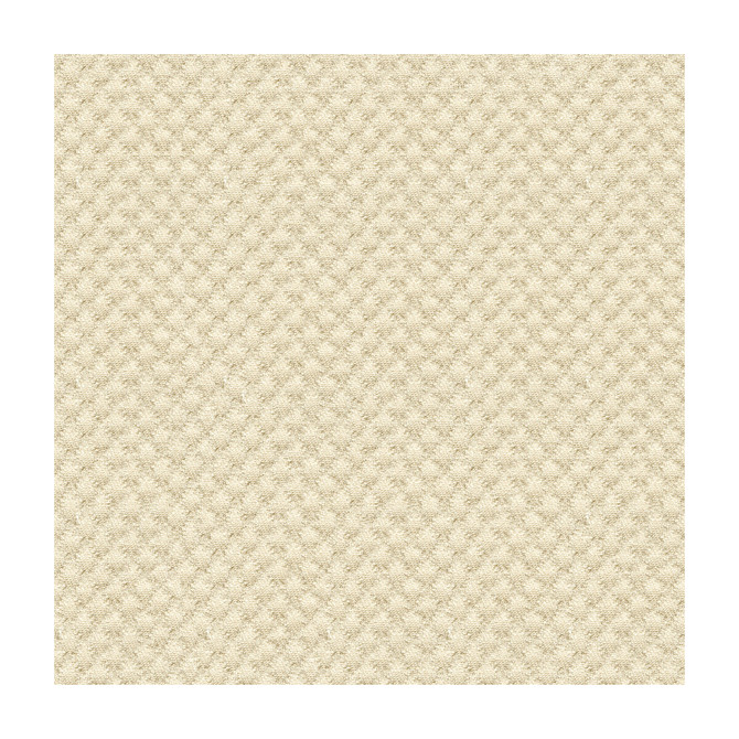 Kravet Design Fabric 25807-1116 SUNBRELLA SOLUTION DYED ACRYLIC - 100% United States HEAVY Horizontal: 0 and Vertical: 0 50 - My Fabric Connection -